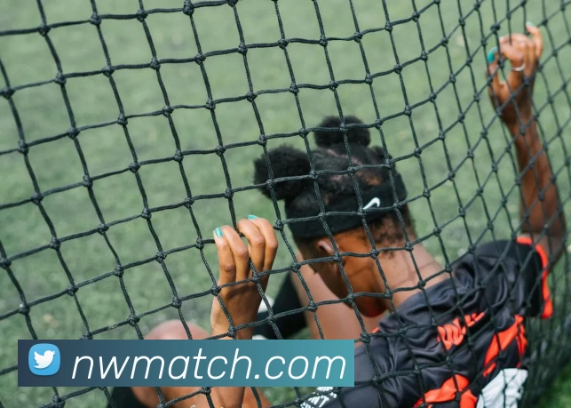 牛王俱乐部官网服务体系